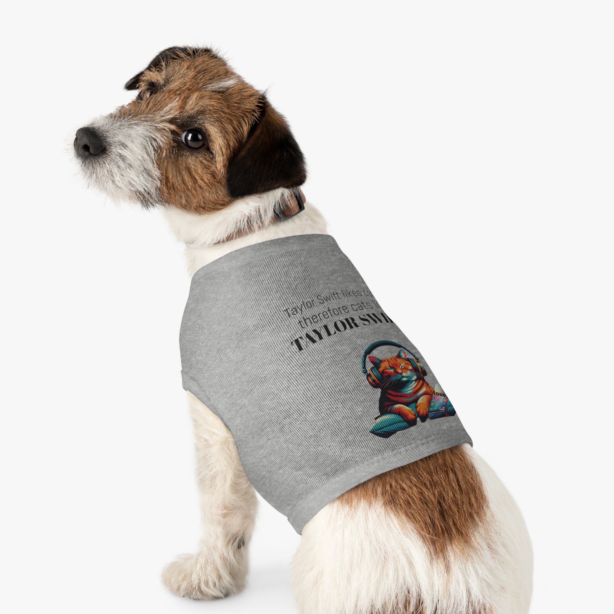Taylor Swift likes cats - cat shirt
