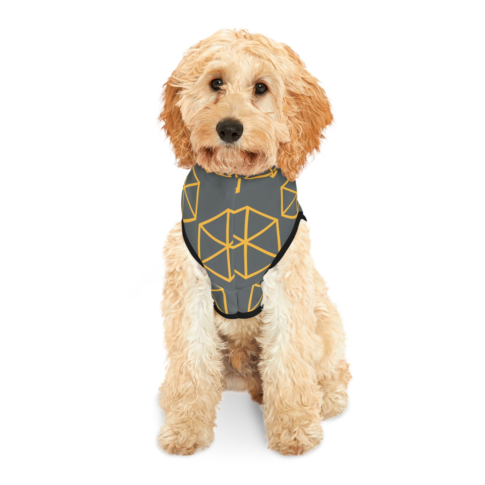 Pentagon Gem Pet Hoodie
