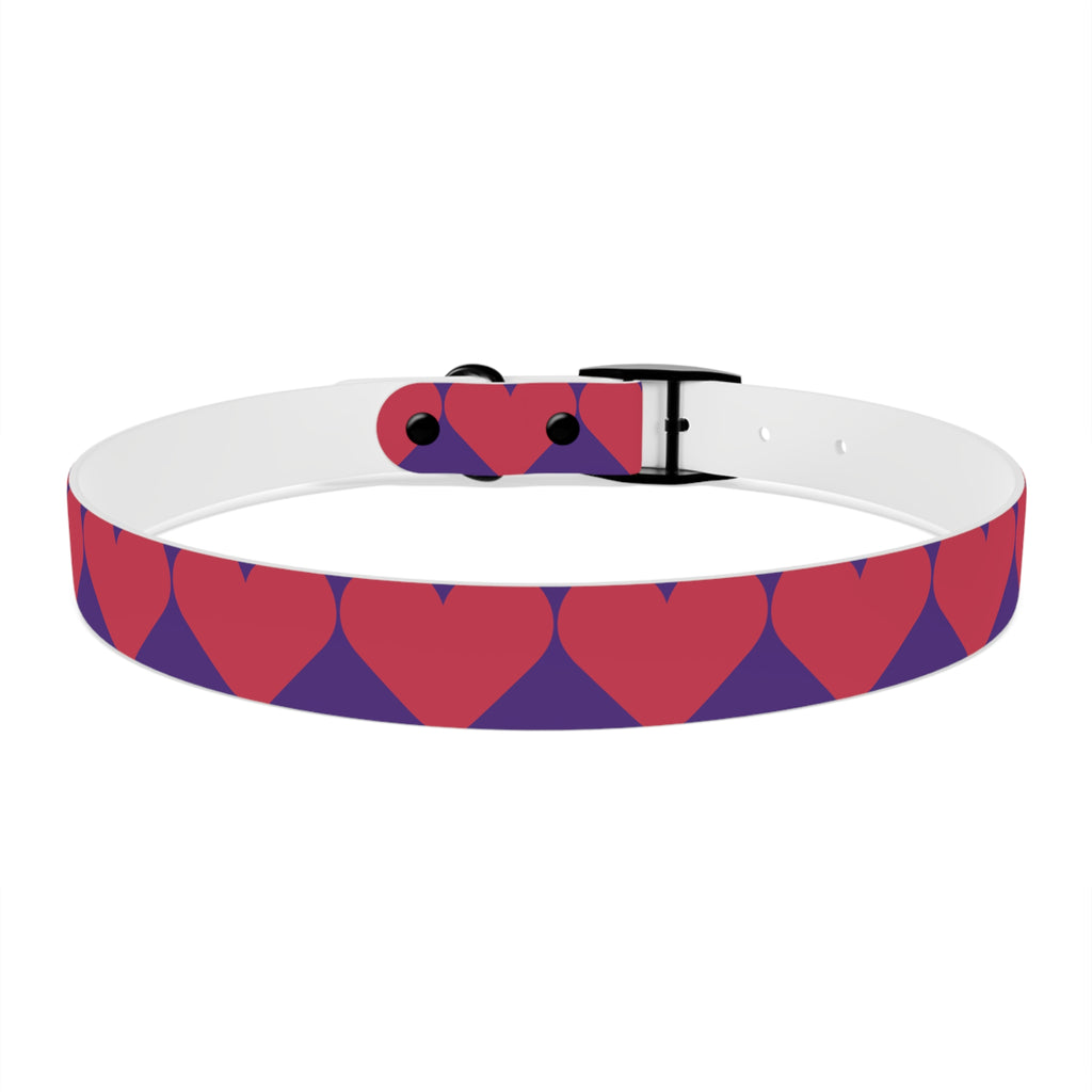 Dog Collar