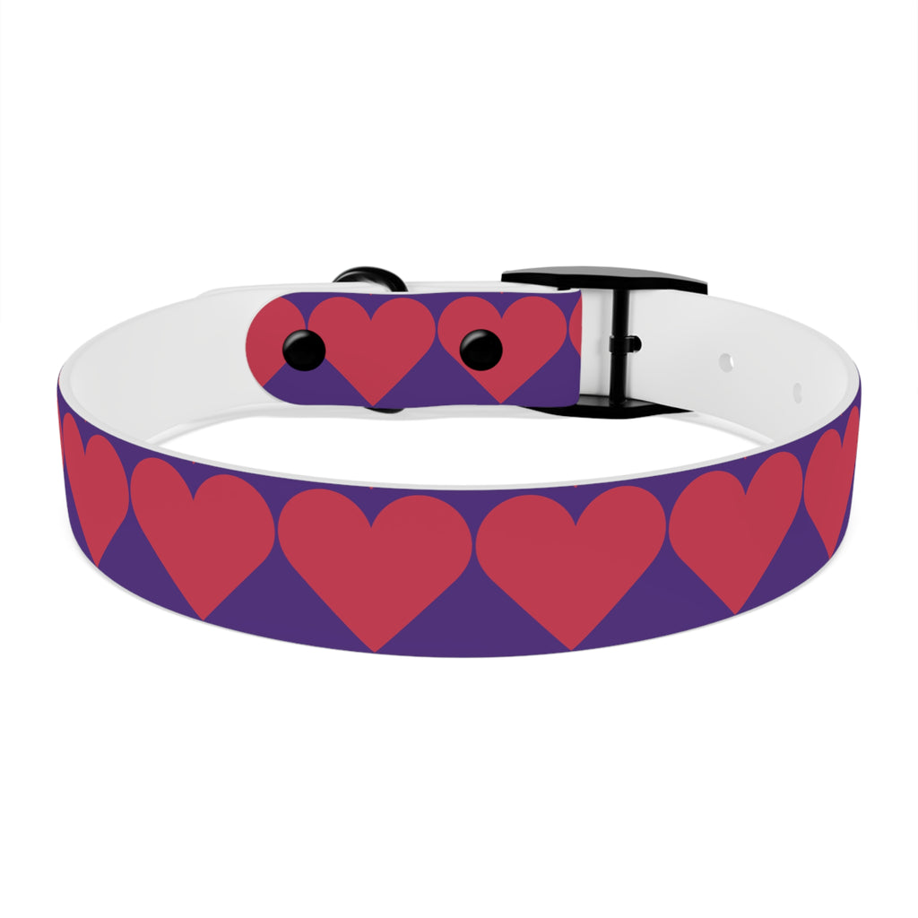 Dog Collar