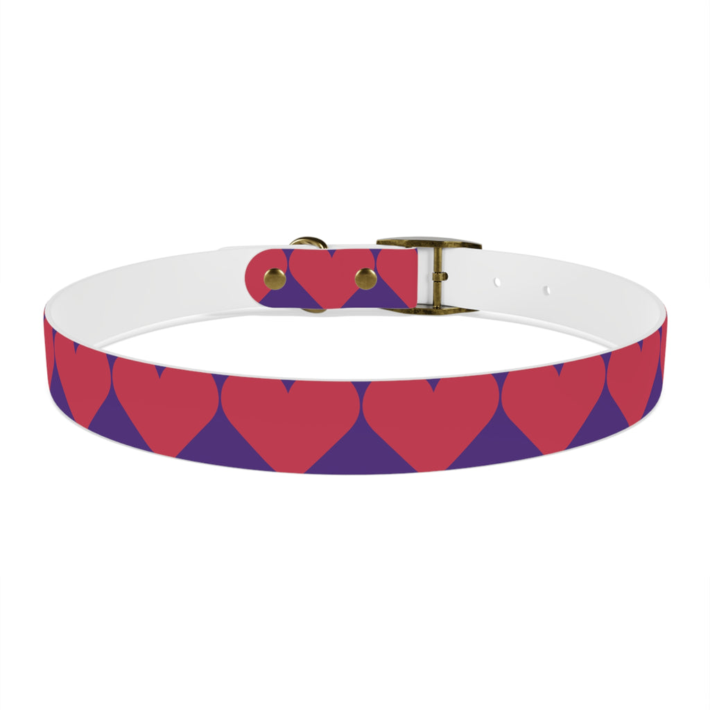Dog Collar