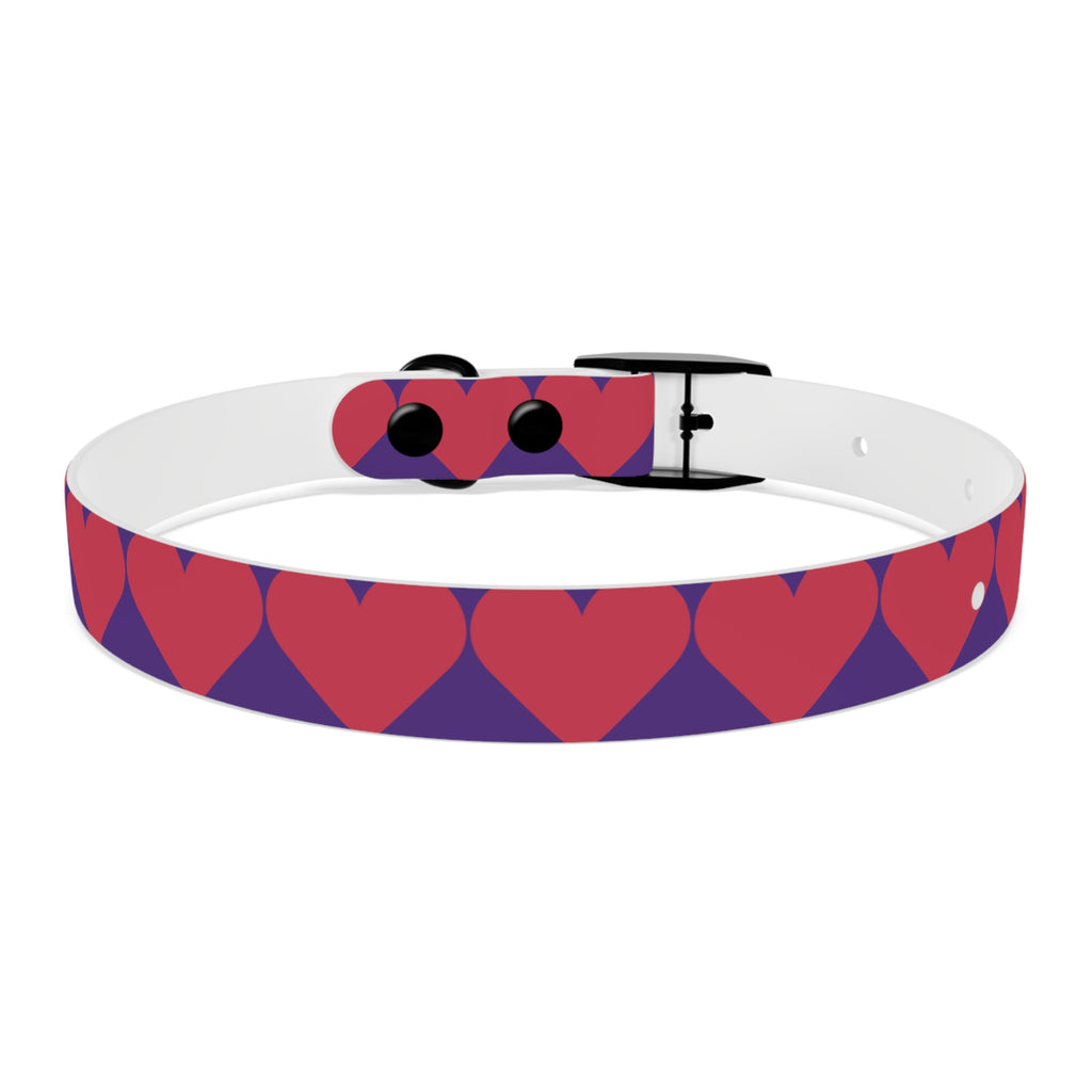 Dog Collar