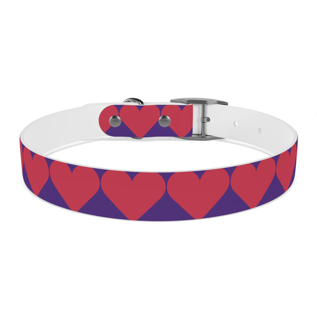 Dog Collar