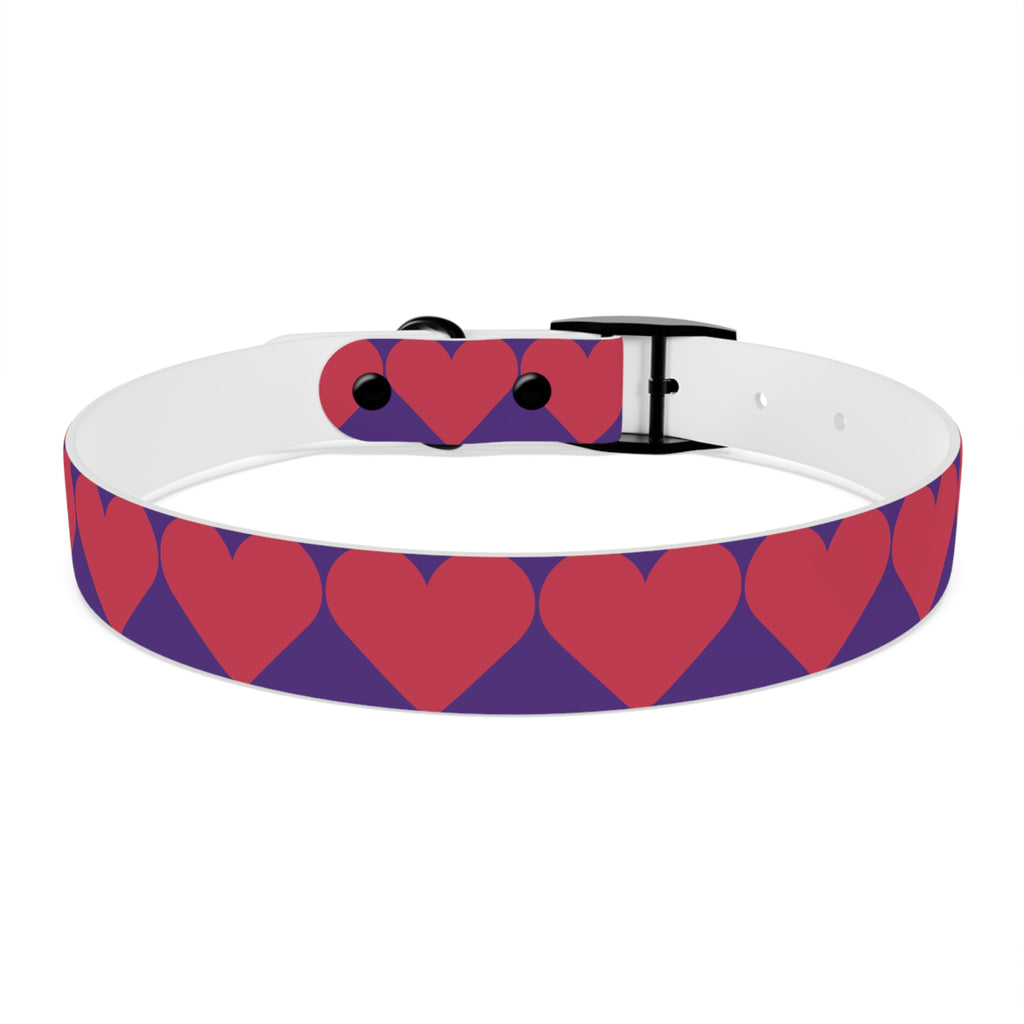 Dog Collar
